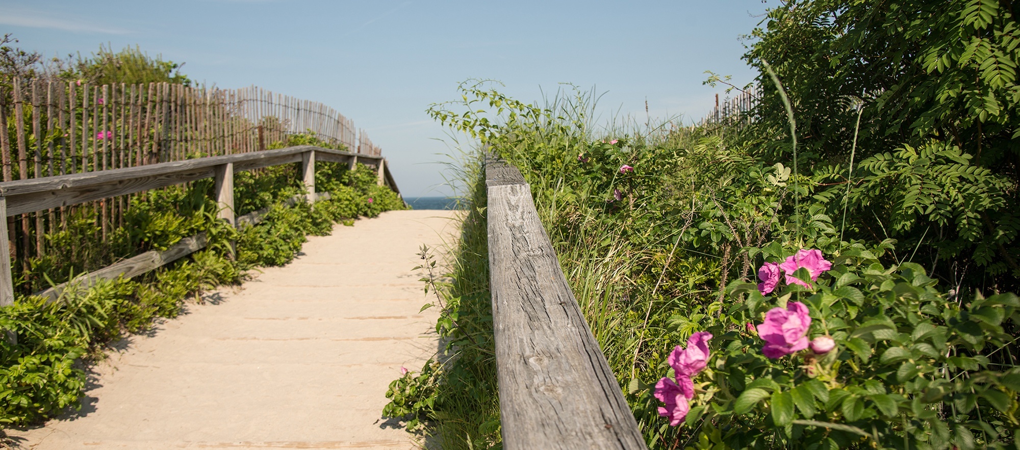 header-image-ogunquit-4